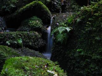 A small stream of water flowing near Matai Falls