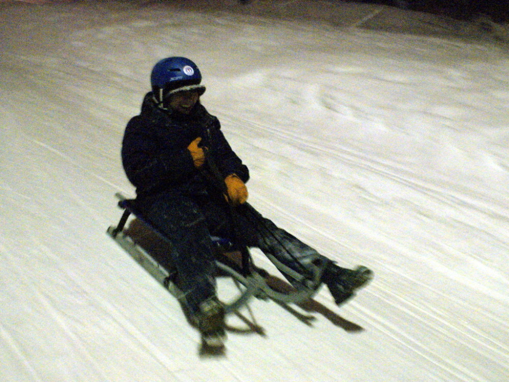 Aloisia sledding in Norway