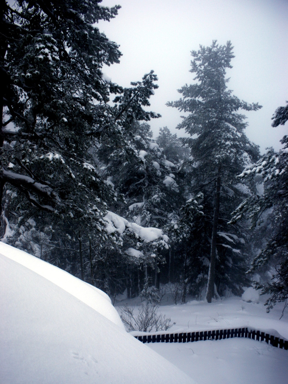 The view from our room at  Kobberhaughytta