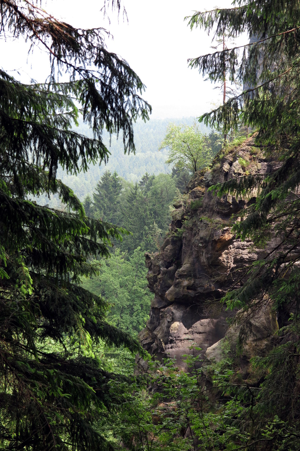 Hiking in Sachsen