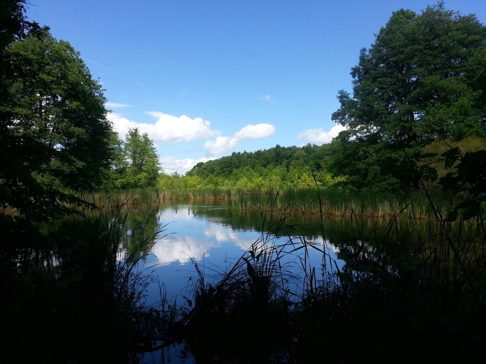 Lake in Strausberger